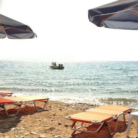 Niki Hotel Samos Town Zewnętrze zdjęcie